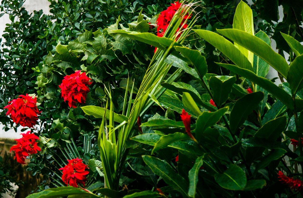 Pousada Raio De Sol Sao Joao Batista do Gloria Exterior photo